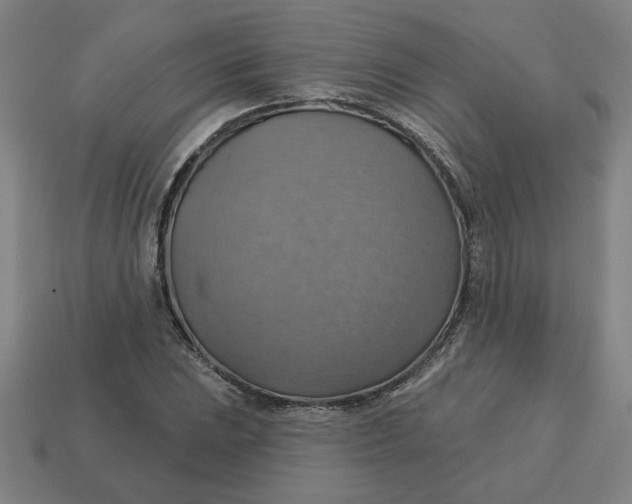 X0000114421023200911061618