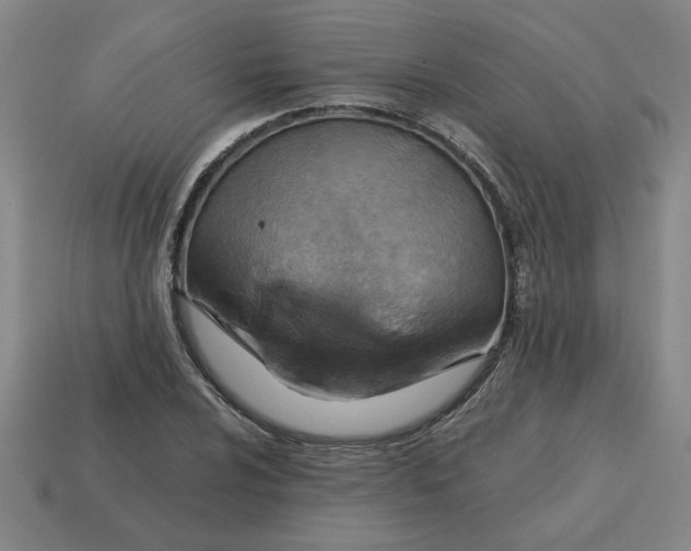 X0000114421024200911061618