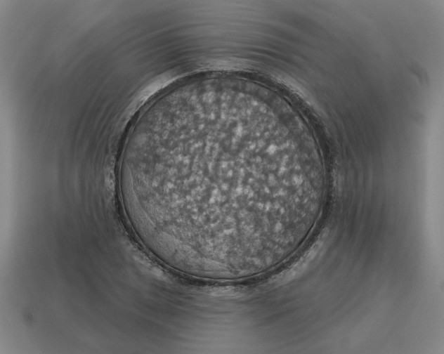 X0000114421025200911061618