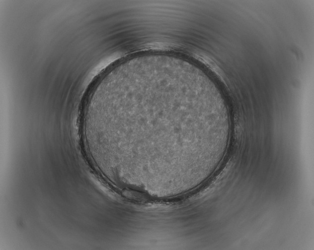 X0000114421026200911061618