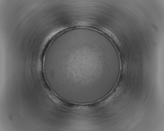 X0000114421027200911061618
