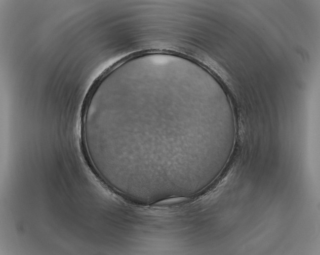 X0000114421028200911061618