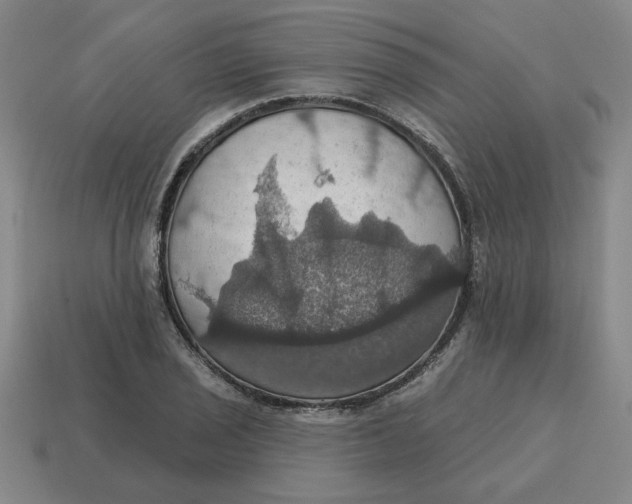 X0000114421029200911061618