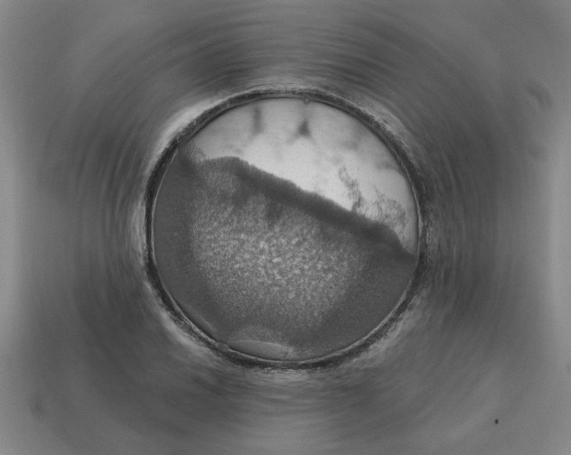 X0000114421030200911061618