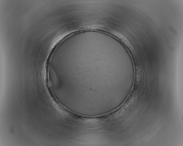 X0000114421031200911061618
