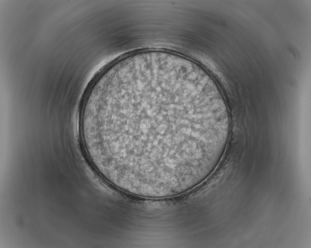 X0000114421032200911061618