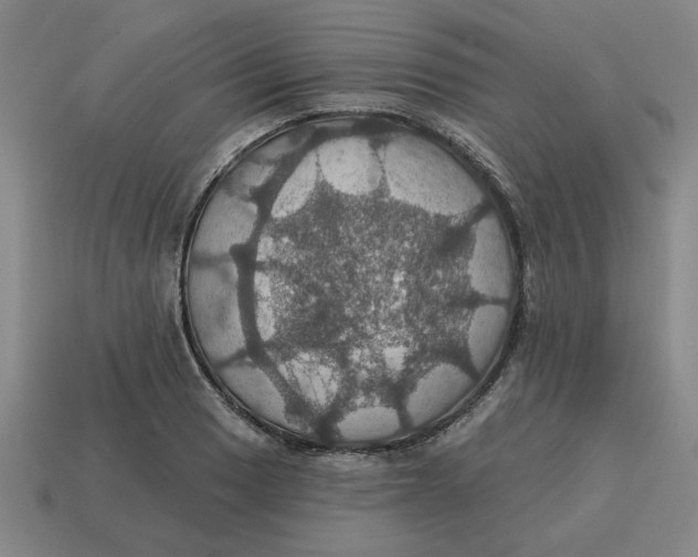 X0000114421033200911061618