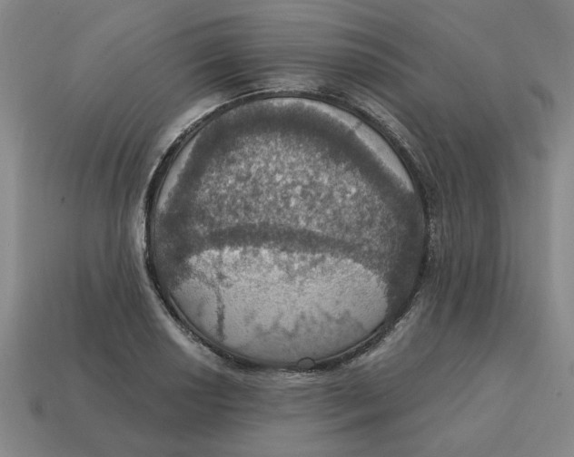 X0000114421034200911061618