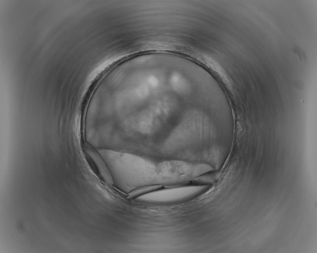 X0000114421035200911061618