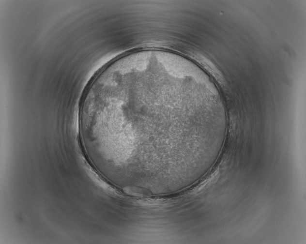 X0000114421036200911061618