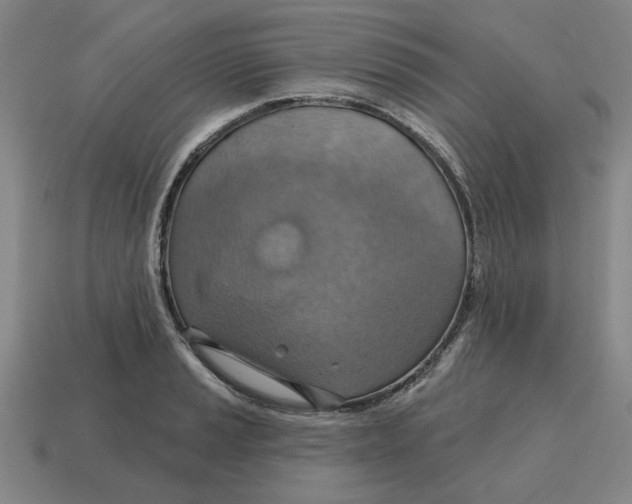 X0000114421037200911061618