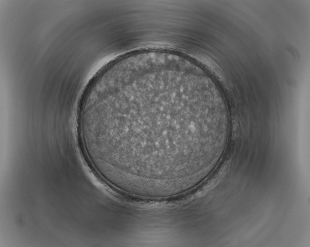 X0000114421038200911061618