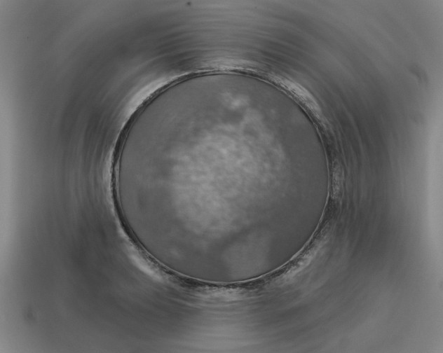 X0000114421039200911061618