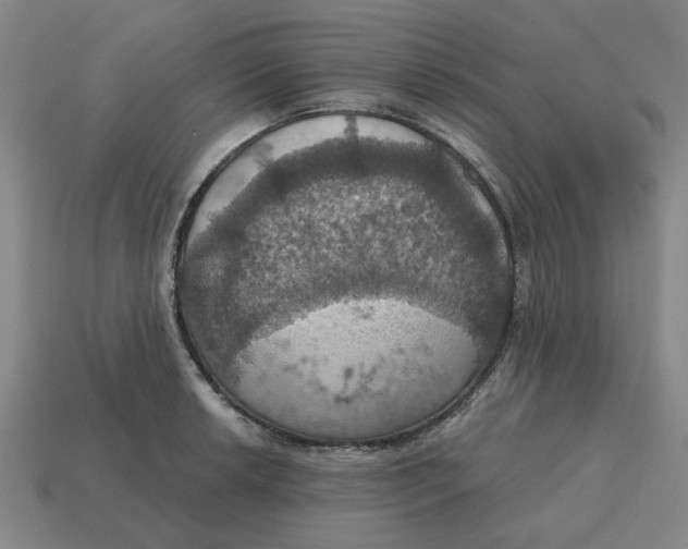 X0000114421042200911061618