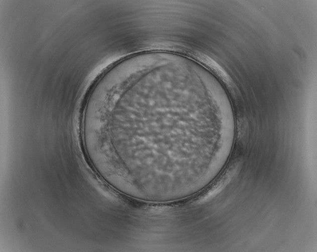 X0000114421043200911061618