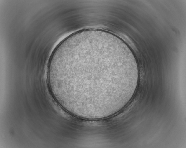X0000114421044200911061618