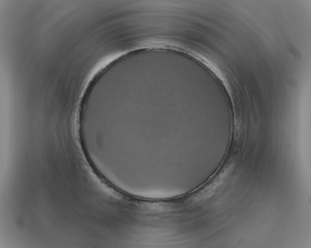 X0000114421045200911061618
