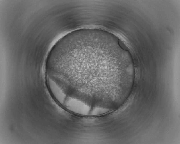 X0000114421046200911061618