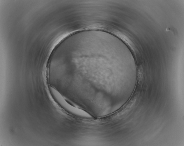 X0000114421047200911061618