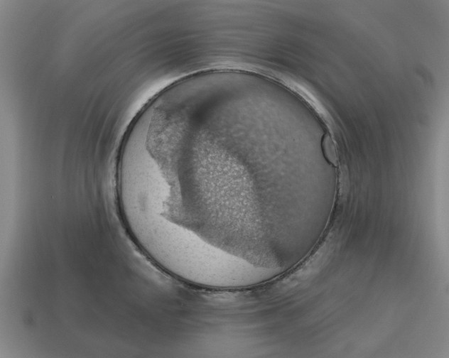 X0000114421048200911061618