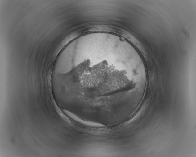 X0000114421049200911061618