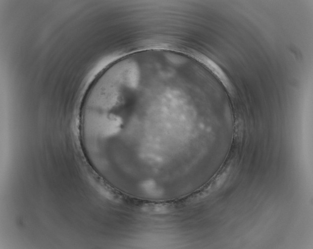 X0000114421051200911061618