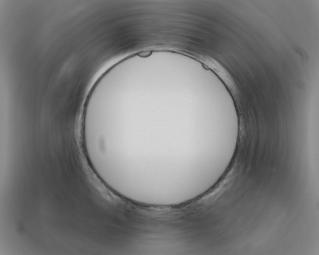 X0000114421052200911061618