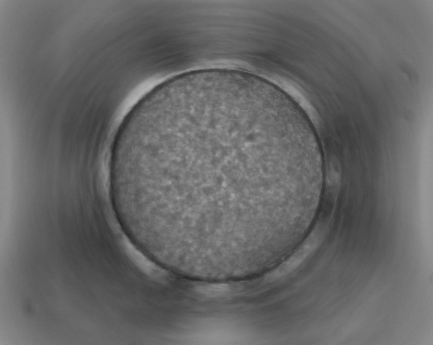 X0000114421054200911061618