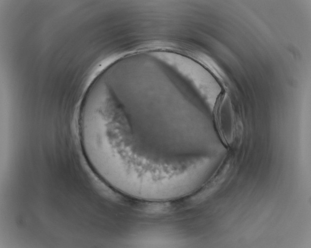 X0000114421055200911061618