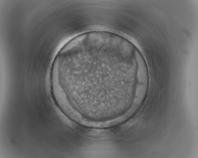 X0000114421056200911061618