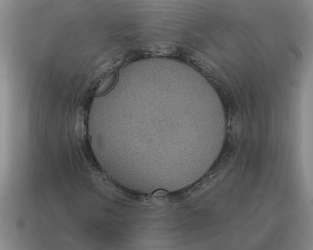 X0000114421058200911061618