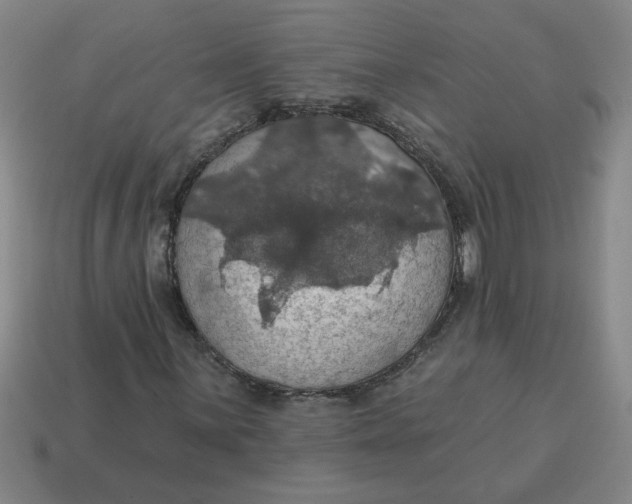 X0000114421059200911061618