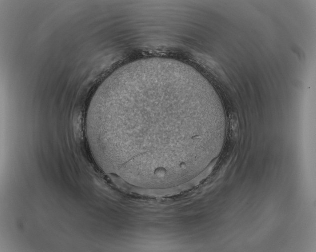 X0000114421060200911061618