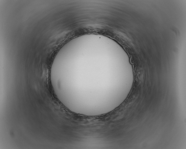 X0000114421061200911061618