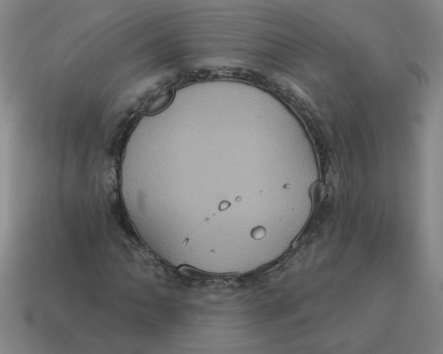 X0000114421062200911061618