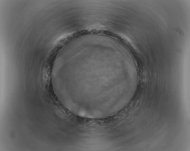 X0000114421063200911061618
