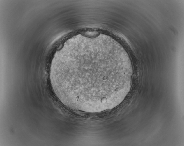 X0000114421064200911061618