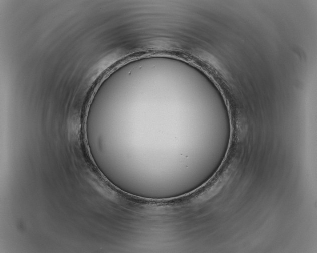 X0000114421065200911061618
