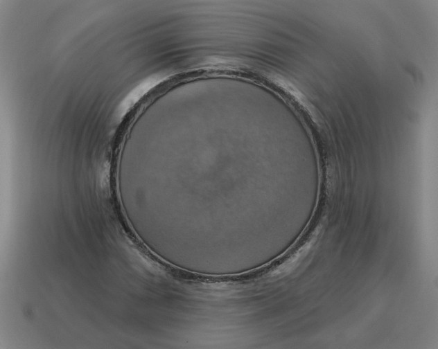 X0000114421066200911061618