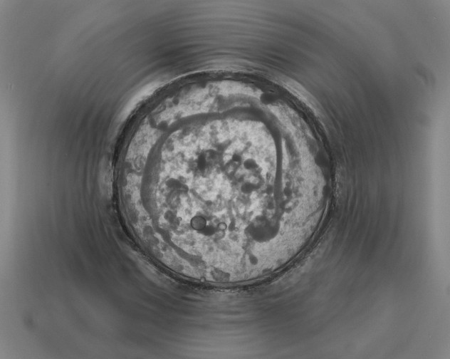 X0000114421067200911061618