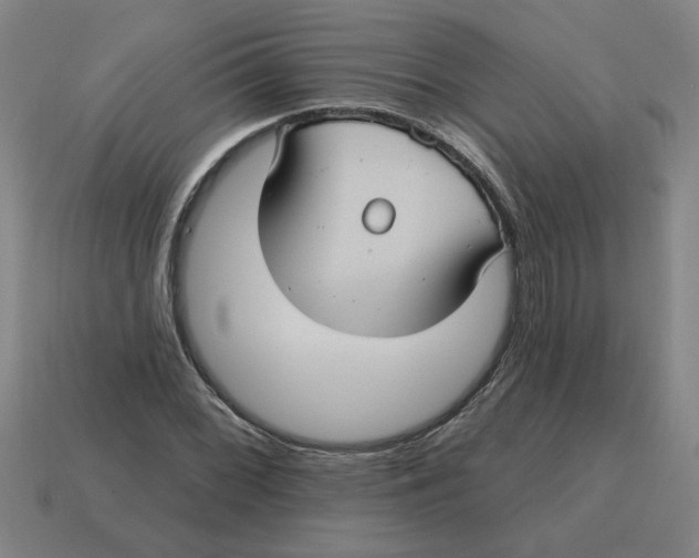 X0000114421068200911061618