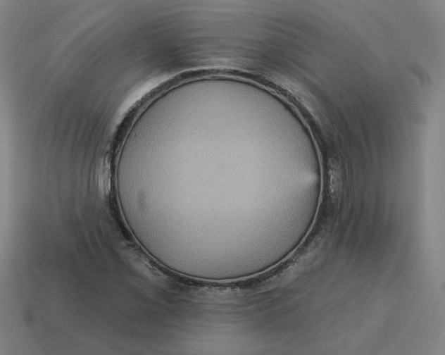 X0000114421069200911061618