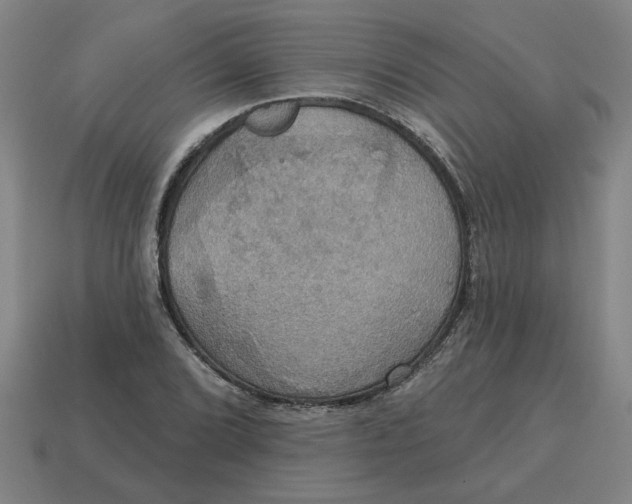 X0000114421072200911061618