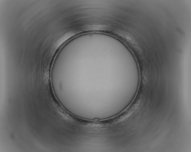 X0000114421073200911061618