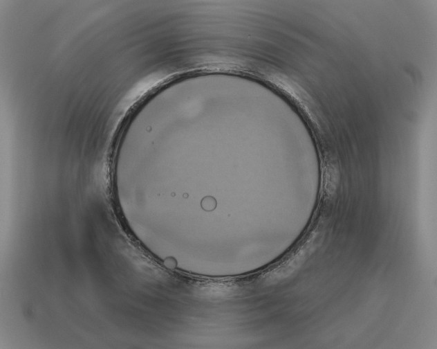 X0000114421074200911061618