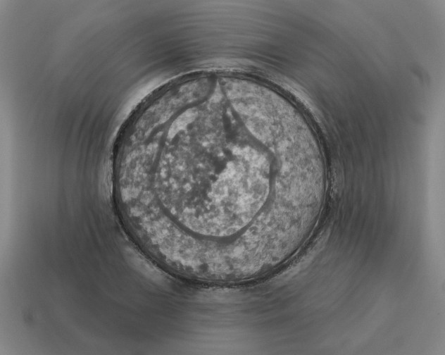 X0000114421075200911061618