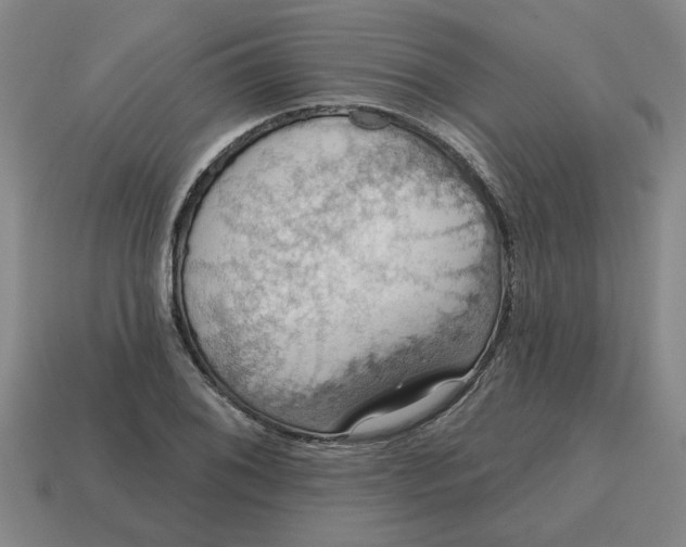 X0000114421076200911061618