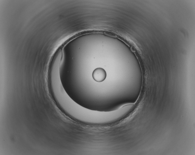 X0000114421077200911061618