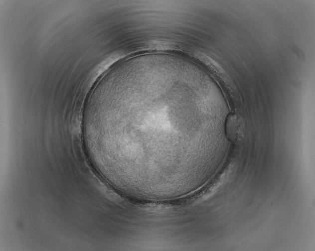 X0000114421081200911061617