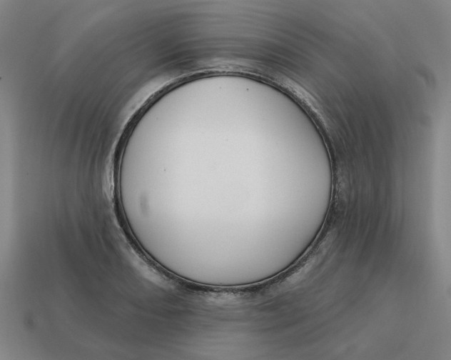 X0000114421082200911061617